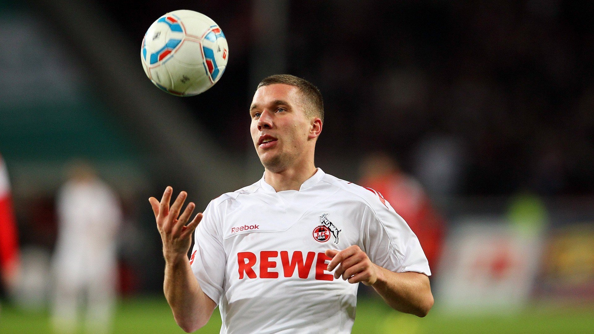 当天山雪豹遇上水鸟，新疆力克鹈鹕背后的库里式统治启示