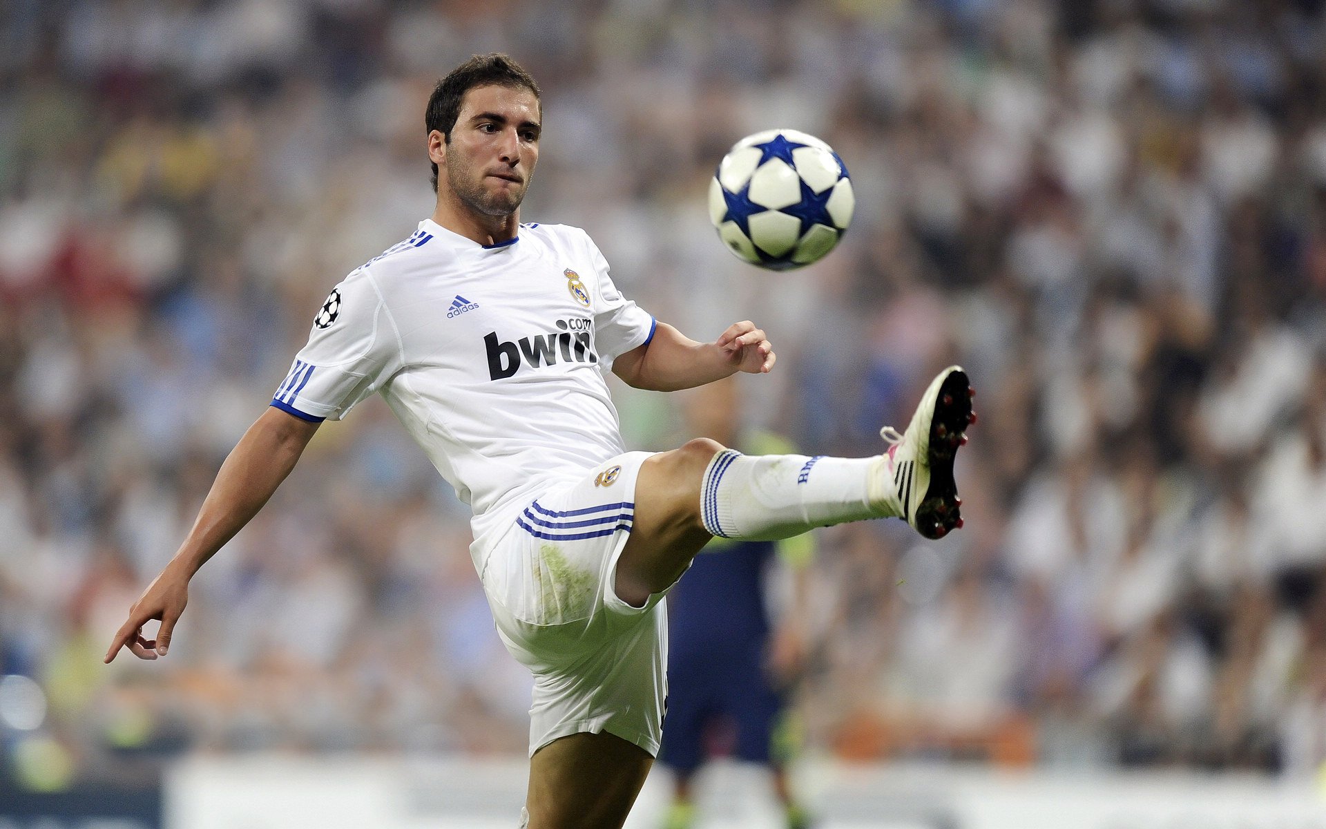 奥运周期关键战之夜，哈利伯顿关键战不手软